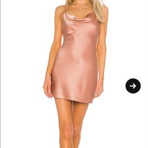 Beautiful Alice and Olivia Slip Dress Size 2